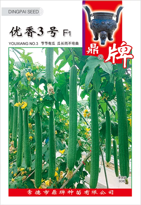 它是絲瓜種植戶(hù)的新選擇，節(jié)節(jié)有瓜，瓜長(zhǎng)而不彎曲