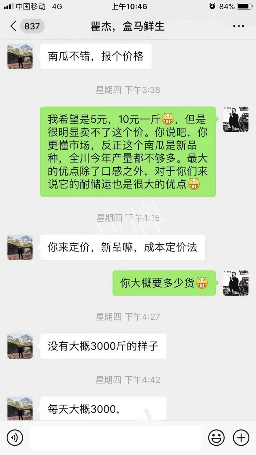 四川農(nóng)戶今年種“健美蜜本”南瓜產(chǎn)量高，品質(zhì)好，感覺巴適得很