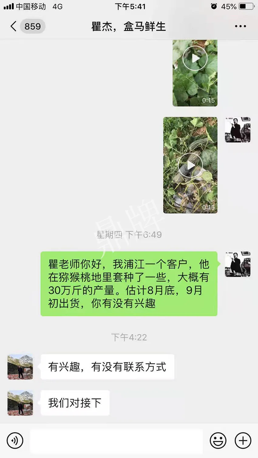 四川農(nóng)戶今年種“健美蜜本”南瓜產(chǎn)量高，品質(zhì)好，感覺巴適得很